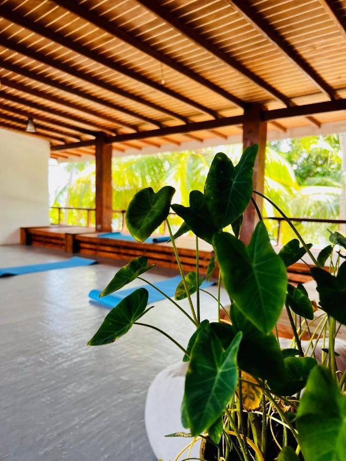 Aveyla Manta Village Dharavandhoo Esterno foto