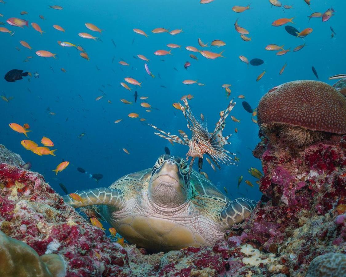 Aveyla Manta Village Dharavandhoo Esterno foto