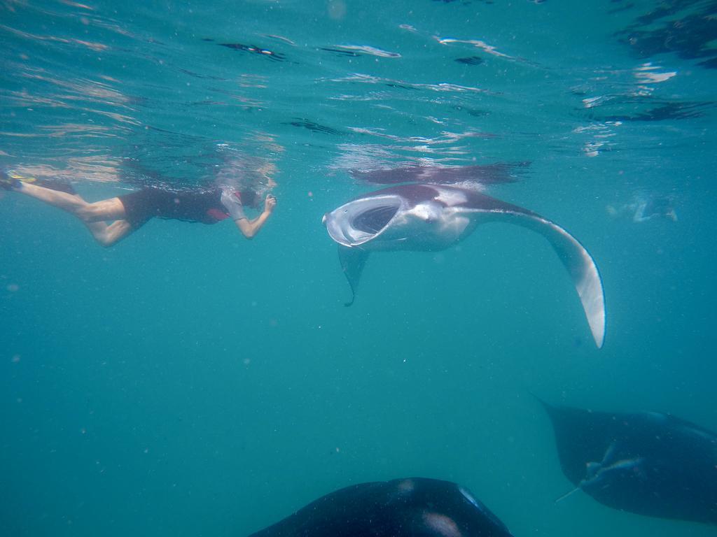 Aveyla Manta Village Dharavandhoo Esterno foto