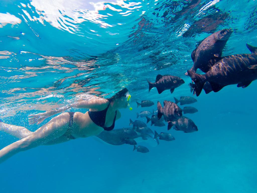 Aveyla Manta Village Dharavandhoo Esterno foto